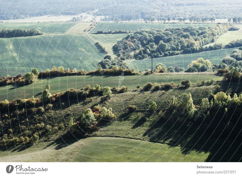 grün grün grün Tourismus Ausflug Ferne Sommer Landwirtschaft Forstwirtschaft Umwelt Natur Schönes Wetter Pflanze Gras Grünpflanze Nutzpflanze Wiese Feld Wald