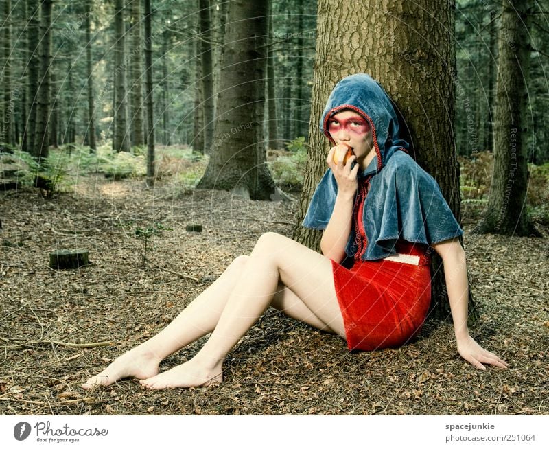 In the Woods of Baskerville Mensch feminin Junge Frau Jugendliche 1 18-30 Jahre Erwachsene Umwelt Natur Landschaft Baum Farn Wald beobachten wandern warten