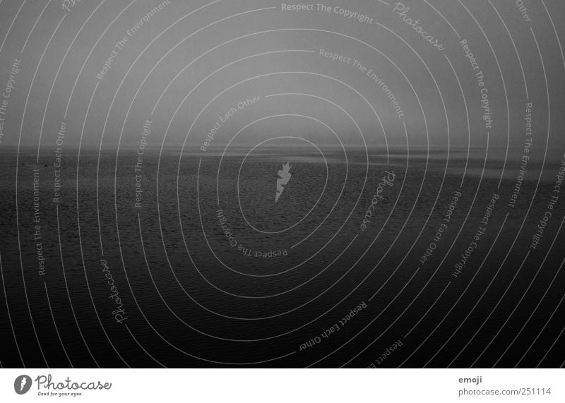 Seelenleben. Umwelt Natur Urelemente Wasser Himmel schlechtes Wetter Unwetter Nebel Regen Nordsee Ostsee Meer bedrohlich dunkel grau schwarz trist Trauer