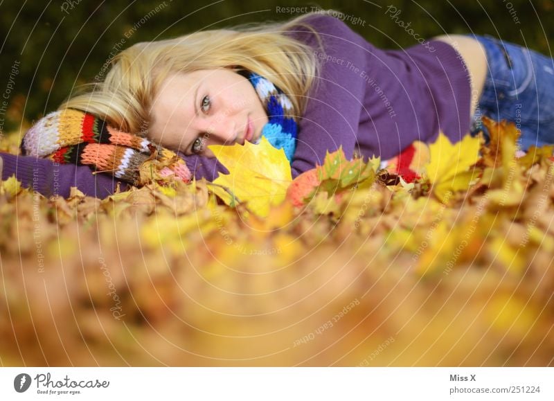 richtig zufrieden Mensch feminin Junge Frau Jugendliche 1 18-30 Jahre Erwachsene Natur Herbst Schönes Wetter Blatt Schal Haare & Frisuren blond liegen Glück