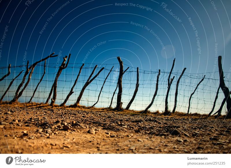 Endegelände Umwelt Landschaft Erde Wolkenloser Himmel Horizont Schönes Wetter Armut einfach fest lang natürlich trocken blau braun Sicherheit Ferne Zaun