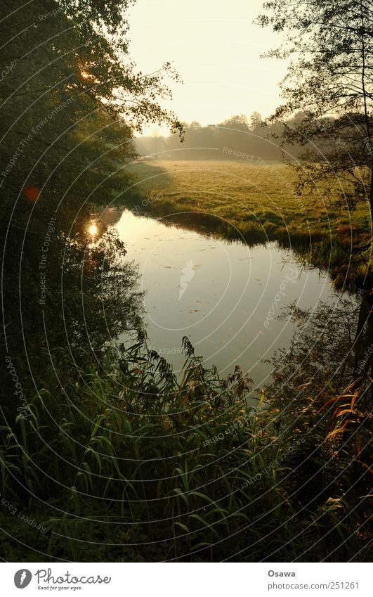 Kossenblatt 2 Natur Landschaft Himmel Sonnenaufgang Herbst Schönes Wetter Nebel Dunst Gras Feld Weide Deutschland Zufriedenheit Erholung ruhig Farbfoto