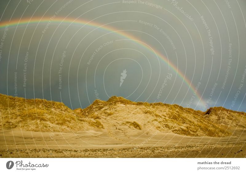 SPEKTRUM Natur Landschaft Sand Wolken Horizont Regen Strand ästhetisch schön Wärme Farbe Regenbogen Prisma rund Stranddüne Gold Topf Farbfoto Außenaufnahme