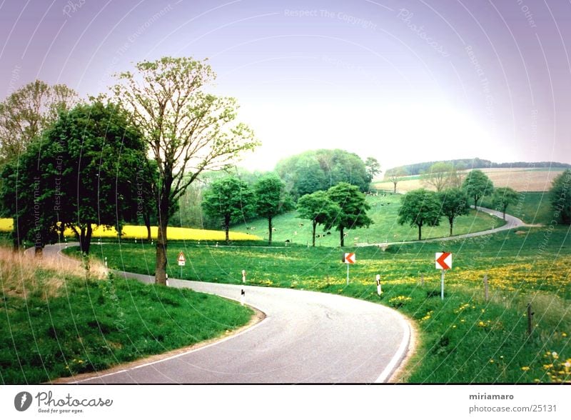 Erzgebirgslandschaft Erzgebirge Hügel grün Berge u. Gebirge Landschaft Straße Kurve