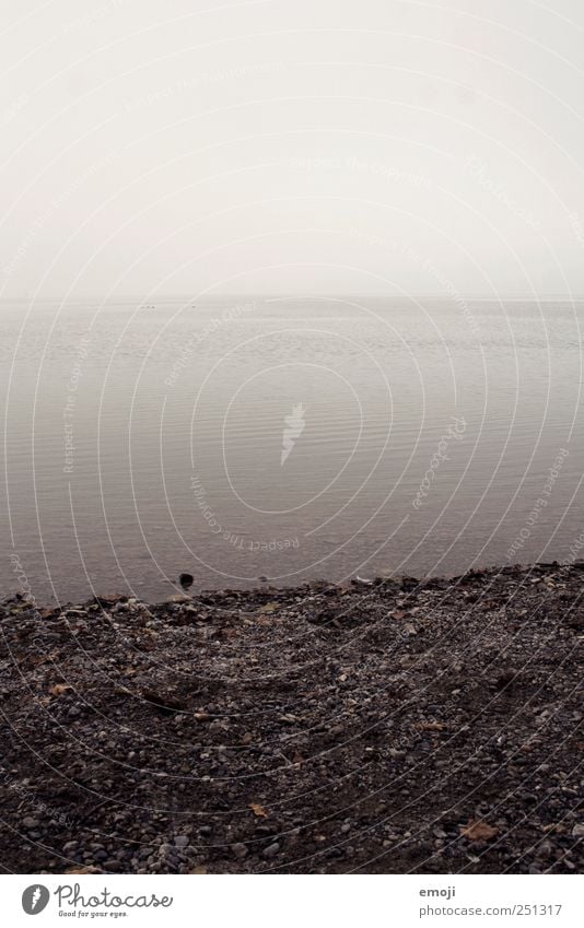 ausufernd Umwelt Natur Landschaft Wasser Himmel schlechtes Wetter Nebel Seeufer Nordsee Ostsee Meer dunkel kalt grau trist Traurigkeit Gedeckte Farben