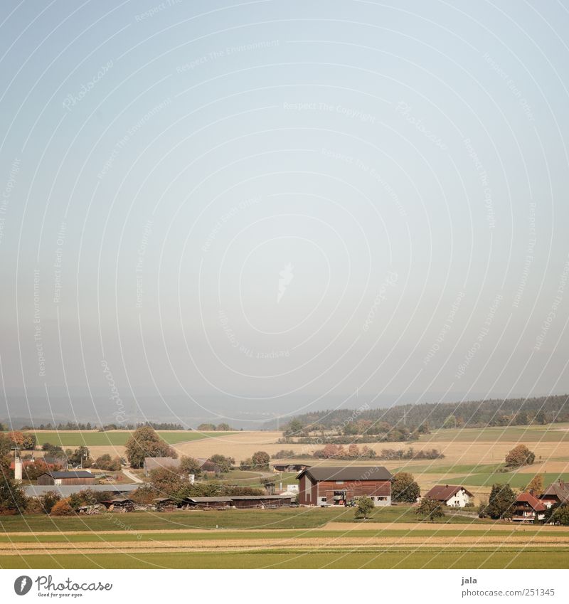 CHAMANSÜLZ | blick ins ländle Umwelt Natur Landschaft Himmel Pflanze Feld Dorf Haus natürlich blau Farbfoto Außenaufnahme Menschenleer Textfreiraum oben Tag