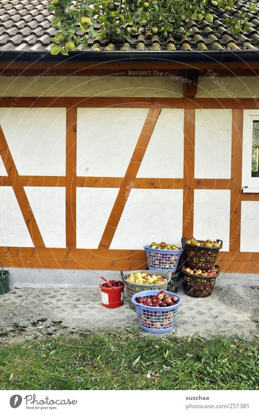 erntezeit in chamansülz Dorf Einfamilienhaus Bauwerk Gebäude Architektur Mauer Wand Fassade Dach Beton Holz Linie Häusliches Leben Fachwerkhaus Äpfel Körbe