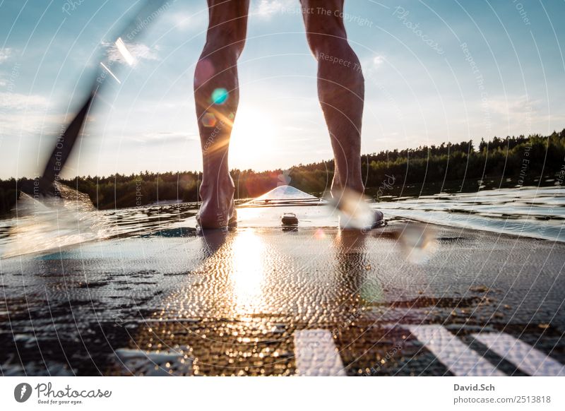 Teilansicht von Stand-Up-Paddler in Aktion sportlich Fitness Sommer Sommerurlaub Sonne Sport Wassersport Mensch maskulin Mann Erwachsene Beine Fuß 1 Bewegung