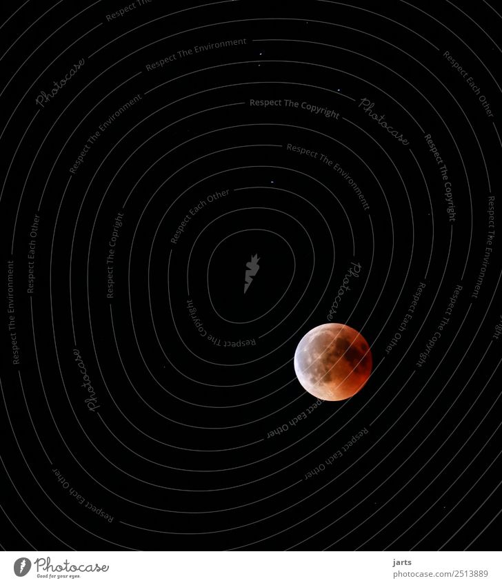 blutmond 2018 Himmel Vollmond Schönes Wetter außergewöhnlich natürlich rot Natur Mondfinsternis Blutmond Farbfoto Außenaufnahme Nahaufnahme Menschenleer