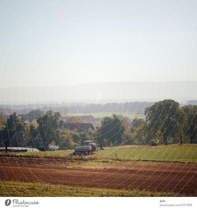 CHAMANSÜLZ | ackerland Landwirtschaft Forstwirtschaft Umwelt Natur Landschaft Pflanze Himmel Herbst Baum Grünpflanze Nutzpflanze Wildpflanze Feld