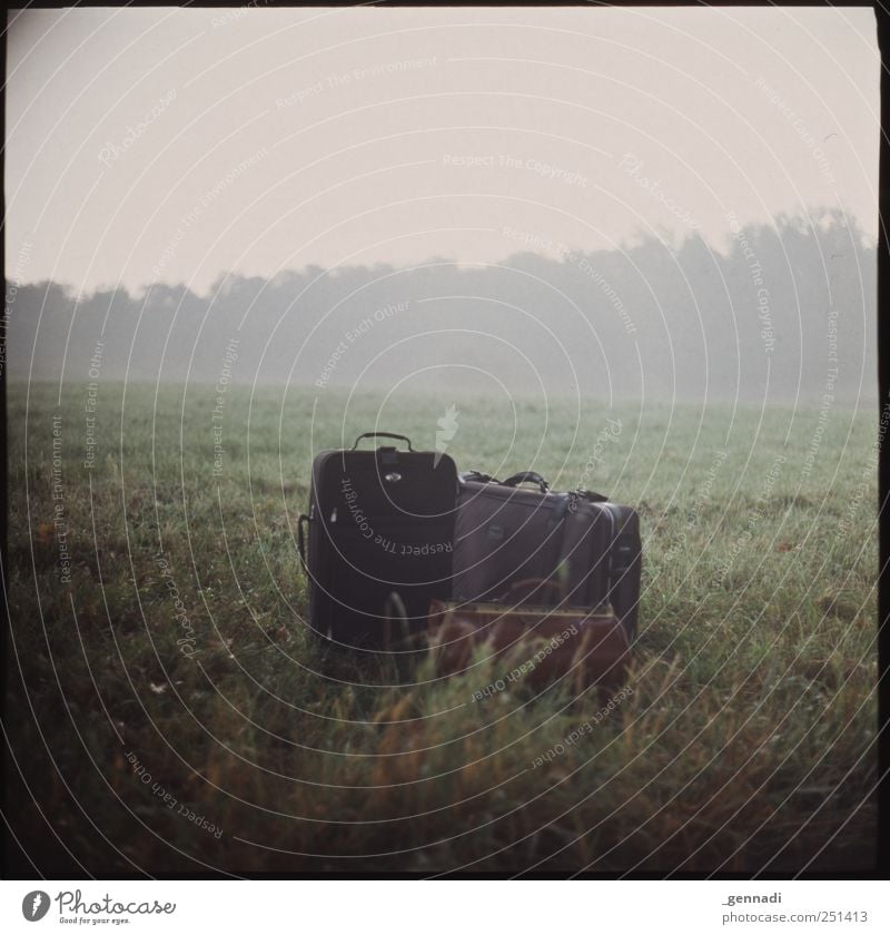 Stehen gelassen Umwelt Natur Landschaft Nebel Gras Wiese Gepäck Tasche Gefühle ruhig Ferien & Urlaub & Reisen Rahmen analog Dinge gestellt Farbfoto