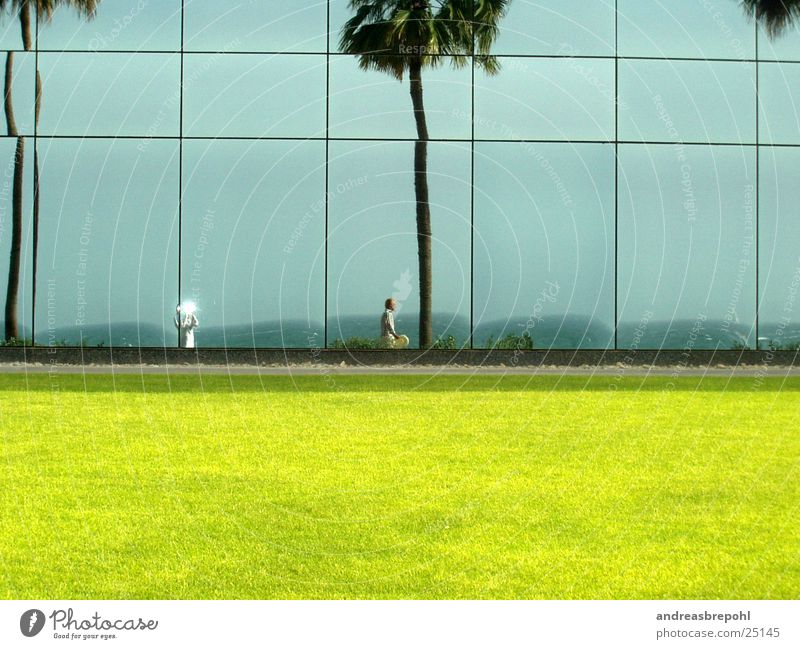 me, myself and sista Spiegel Fenster Wand Palme Licht Spiegelbild Sonne Rasen