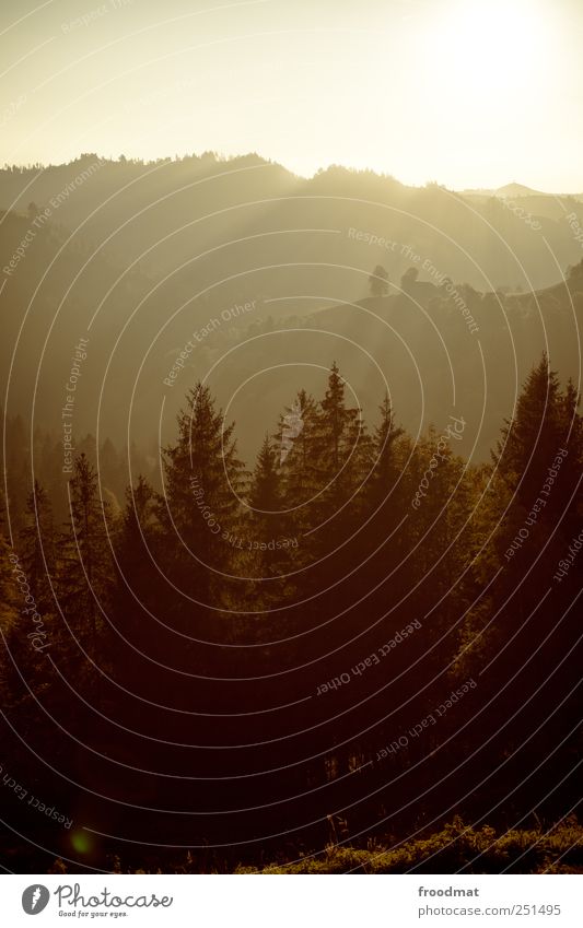 layered Umwelt Natur Landschaft Wolkenloser Himmel Sonnenaufgang Sonnenuntergang Sonnenlicht Sommer Herbst Schönes Wetter Nebel Wald Hügel Alpen