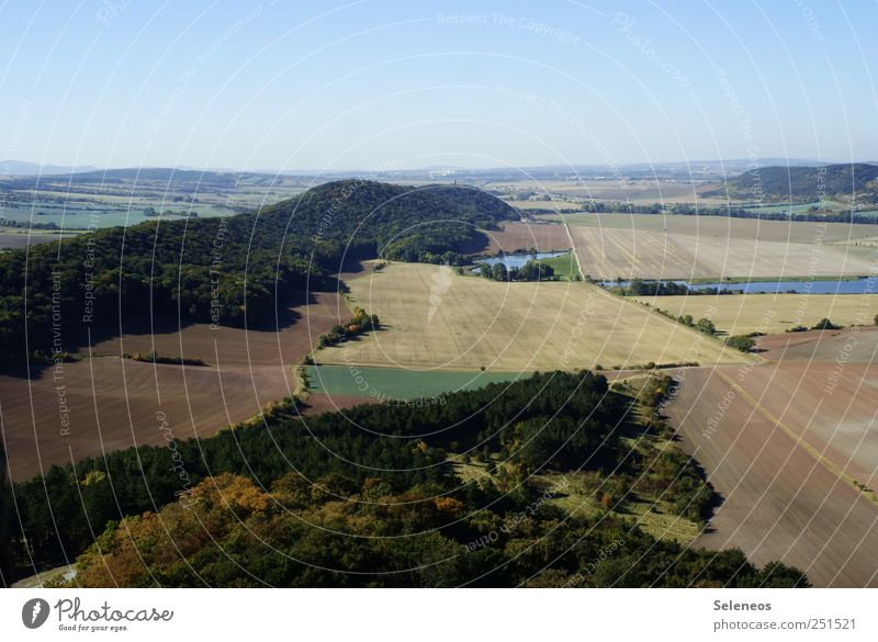 schöne Aussichten Ferien & Urlaub & Reisen Ausflug Abenteuer Ferne Freiheit Sommer Sommerurlaub Umwelt Natur Landschaft Pflanze Himmel Wolkenloser Himmel Klima