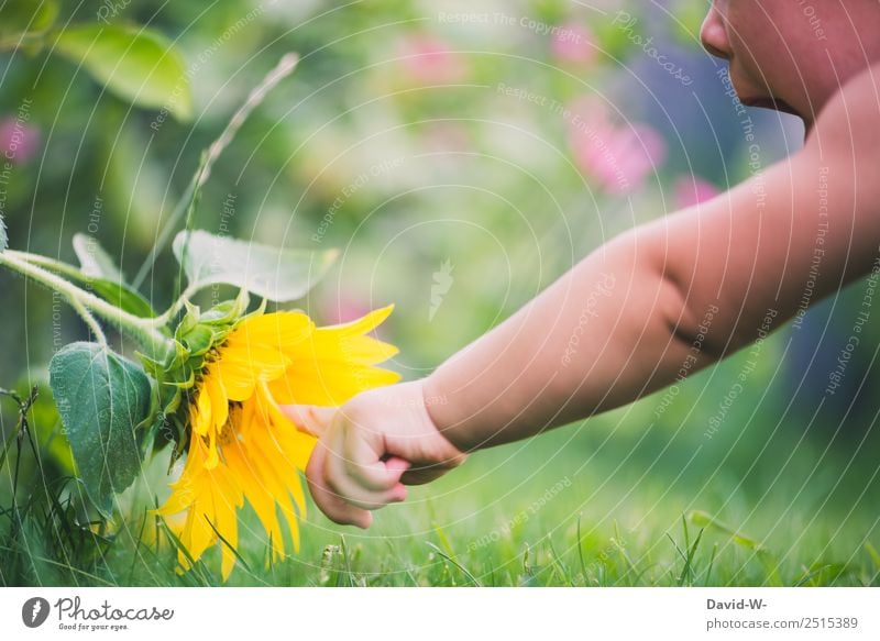 Unterwegs im Garten VIII Mensch Kind Baby Kleinkind Mädchen Junge Kindheit Leben Mund Finger 1 0-12 Monate Umwelt Natur Sommer Schönes Wetter Pflanze Blume