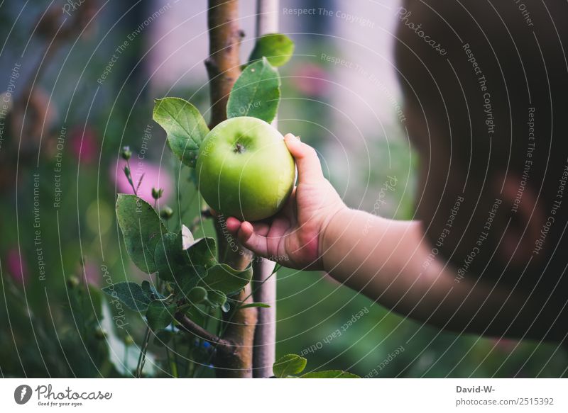 Unterwegs im Garten II Mensch Kind Baby Kleinkind Mädchen Junge Kindheit Leben Kopf Hand Finger 1 0-12 Monate Umwelt Natur Landschaft Sommer Pflanze Baum