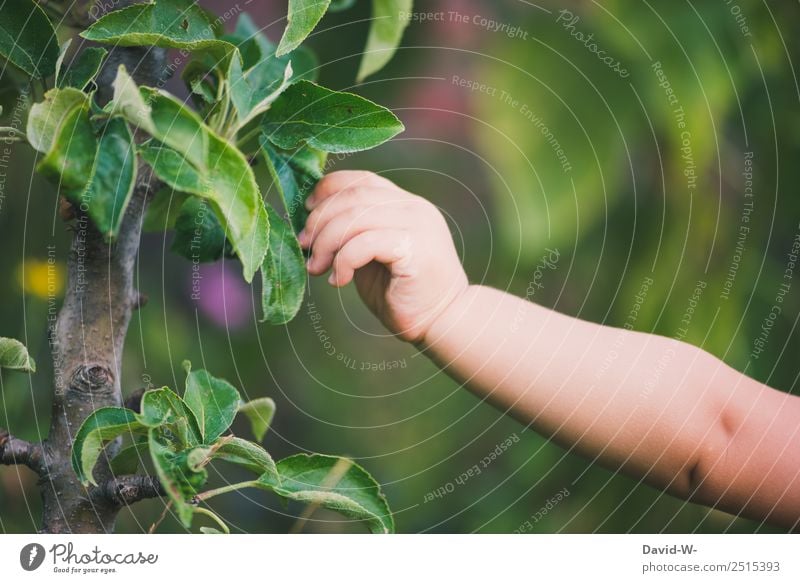 Unterwegs im Garten I Lifestyle Leben harmonisch Wohlgefühl Zufriedenheit Sinnesorgane Spielen Ferien & Urlaub & Reisen Mensch Kind Baby Kleinkind Mädchen Junge