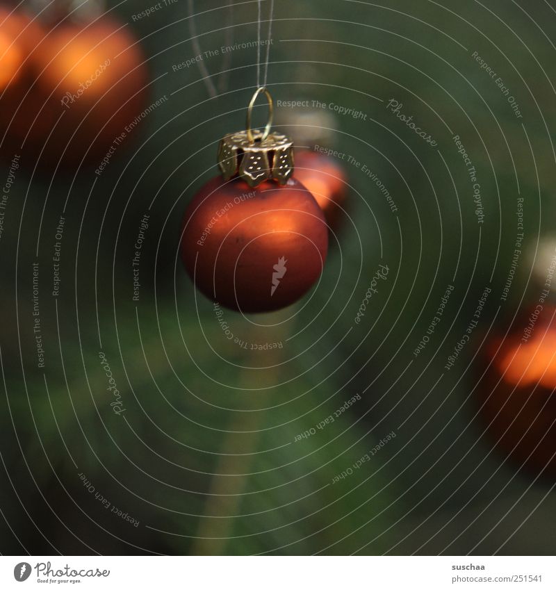 kugeln Feste & Feiern Kunststoff Kugel dunkel Kitsch grün rot Christbaumkugel Baumschmuck Weihnachtsdekoration Tannennadel dunkelgrün aufhängen