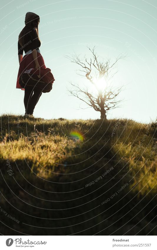 Rotröckchen Mensch feminin Junge Frau Jugendliche Erwachsene Natur Sonne Sonnenaufgang Sonnenuntergang Sonnenlicht Herbst Schönes Wetter Baum Gras Wiese