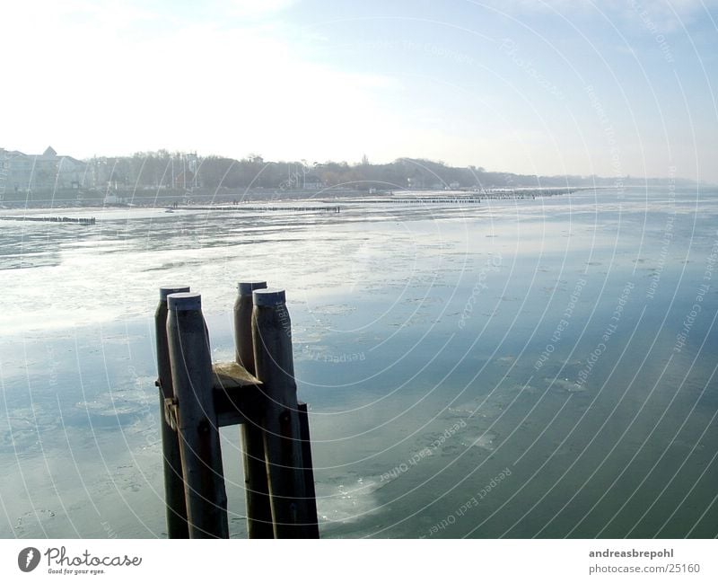 Kühlungsborn im Winter Eisscholle Vogel Buhne kalt gefroren Brandung Wasser Ostsee Küste Flachwasser Grundbesitz Frost Brücke Himmel