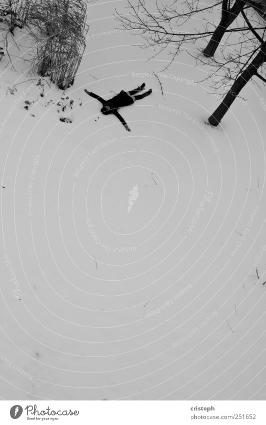 Das Glück fällt nicht weit vom Stamm. Schnee liegen träumen Traurigkeit warten kalt trist grau schwarz Hilfsbedürftig Schwarzweißfoto Außenaufnahme