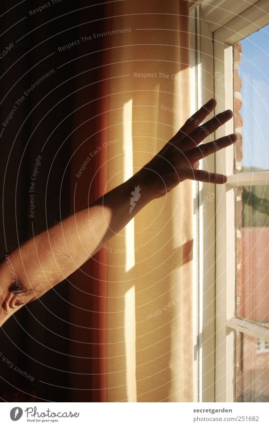 nach der sonne greifen. Wohnung Raum Frau Erwachsene Haut Arme Hand Finger 1 Mensch Fenster Holz Glas berühren dunkel gelb schwarz weiß Gefühle Euphorie Kraft