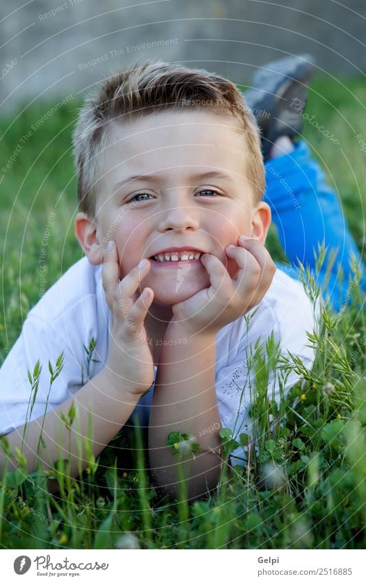 Nachdenkliches lustiges Kind, das auf dem Gras liegt. Freude Glück schön Gesicht Freiheit Sommer Garten Mensch Junge Mann Erwachsene Kindheit Natur Blume Blatt