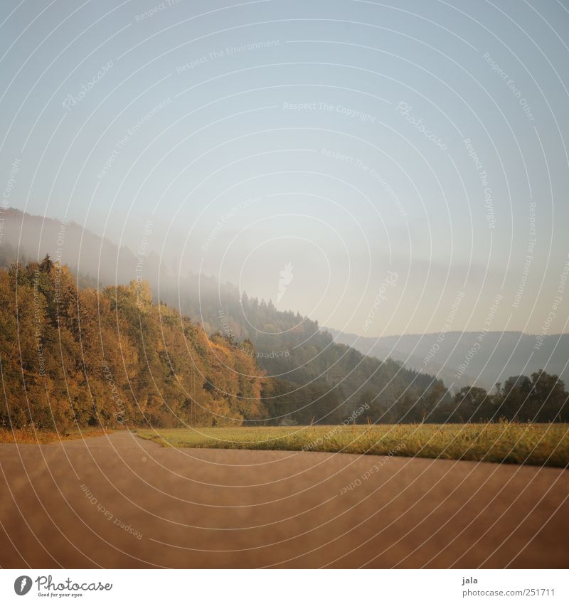 CHAMANSÜLZ | feldweg Umwelt Natur Landschaft Pflanze Himmel Herbst Baum Gras Grünpflanze Wildpflanze Wiese Wald Hügel Wege & Pfade natürlich Farbfoto