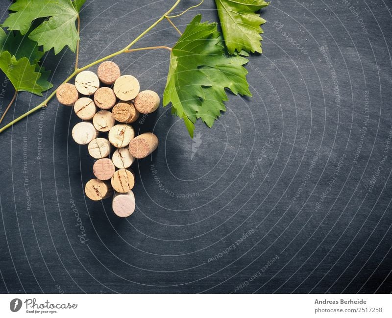 Flaschenkorken als Weinrebe mit Weinblätter Getränk Sekt Prosecco Champagner Tafel lecker grape Cork bunch winery table leaf green concept old stone