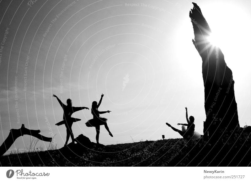 Ballet Dancing Girls Black and White elegant harmonisch Freiheit Sonne Tanzen Publikum Bühne Tänzer Theaterschauspiel Medienbranche Karriere Mensch feminin