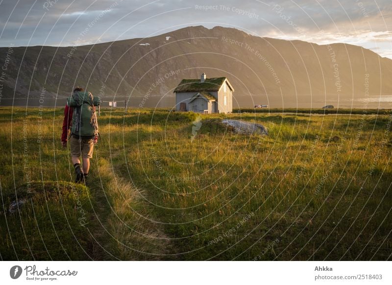 Wanderer erreicht Hütte in abendlicher Sonnenflut harmonisch Ferien & Urlaub & Reisen Ausflug Abenteuer Ferne wandern 1 Mensch Landschaft Schönes Wetter Gras