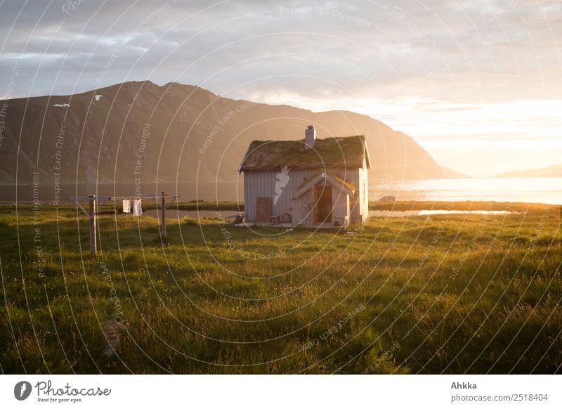 Traum. Hütte. Norwegen harmonisch Ferien & Urlaub & Reisen Landschaft Küste Bucht Mitternachtssonne Skandinavien leuchten Glück Zufriedenheit Lebensfreude