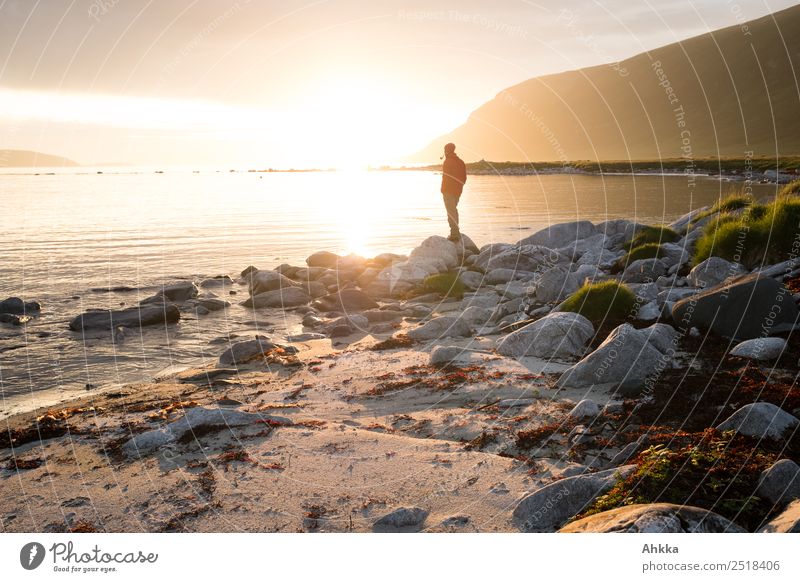 Mensch mit Pfeife in Mitternachtssonne am Fjord harmonisch Zufriedenheit Erholung ruhig Meditation Ferien & Urlaub & Reisen Abenteuer Ferne Freiheit Leben 1