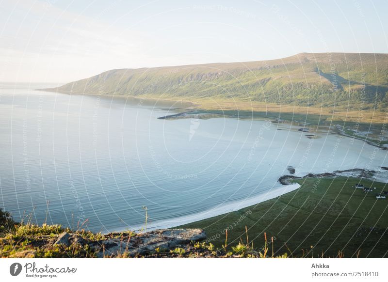 Fjord in Nordnorwegen Ferien & Urlaub & Reisen Abenteuer Freiheit Landschaft Küste Strand Bucht Meer Norwegen authentisch natürlich Fernweh Einsamkeit