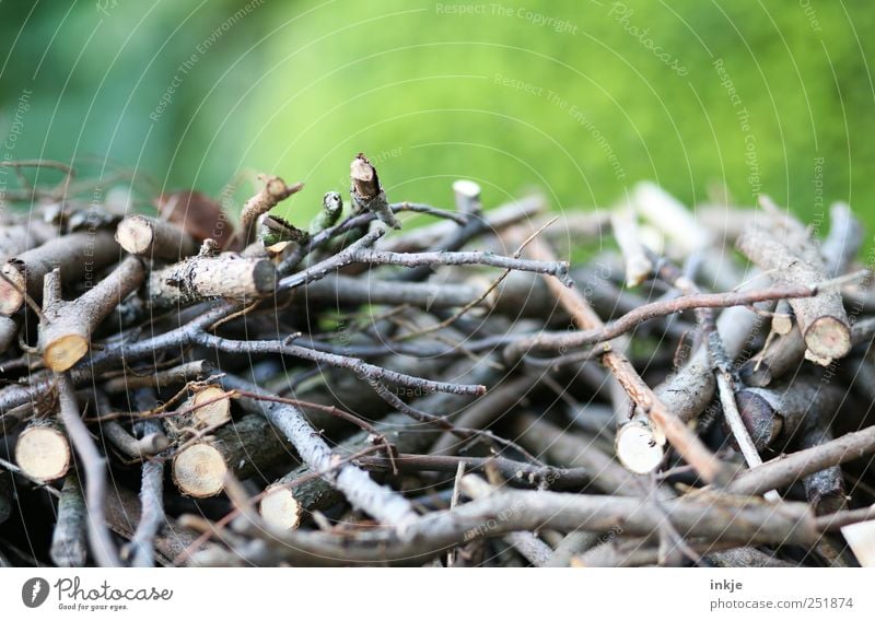 Kleinholz Gartenarbeit Landwirtschaft Forstwirtschaft Erneuerbare Energie Herbst Wiese Park Holz Natur planen Holzstapel Brennholz Ast Stapel durcheinander