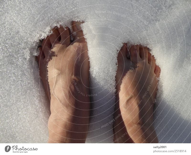 cool down... Fuß 1 Mensch Urelemente Winter Eis Frost Schnee Erholung frieren stehen kalt weiß Mut Selbstbeherrschung standhaft Kühlung Zehen Farbfoto