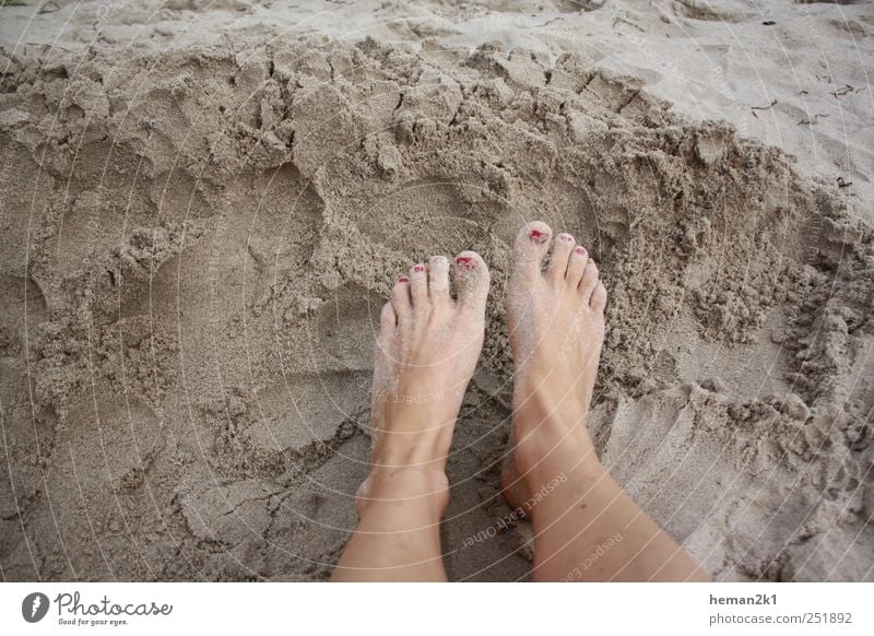 Patschefüße im Sand Sommer Strand Frau Erwachsene Beine Fuß 1 Mensch Farbfoto Außenaufnahme Tag