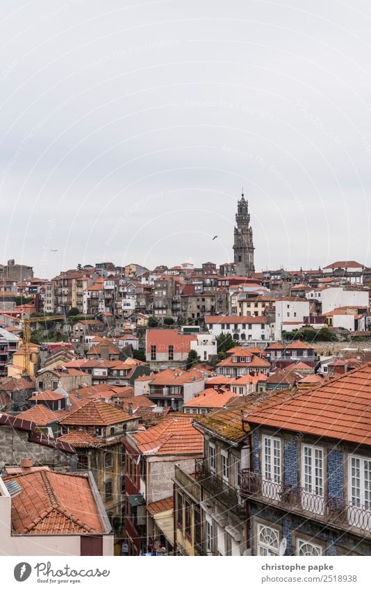 Porto Altstadt Ferien & Urlaub & Reisen Städtereise alt historisch Weltkulturerbe Dach Haus Portugal Farbfoto Außenaufnahme Menschenleer Textfreiraum oben Tag