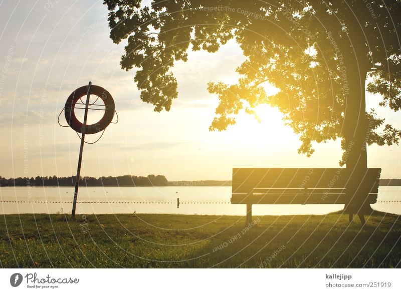 nichtschwimmer Lifestyle Freizeit & Hobby Schwimmbad Pflanze Baum Park Wiese Küste Seeufer Glück Freibad Badeort Rettungsring Horizont Farbfoto Menschenleer