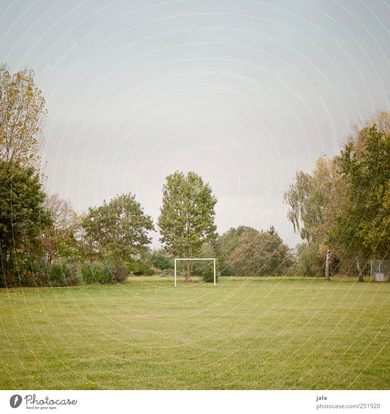 spielfeld Tor Fußballplatz Umwelt Natur Himmel Herbst Pflanze Baum Gras Grünpflanze Wiese ästhetisch natürlich Sauberkeit blau grün Farbfoto Außenaufnahme