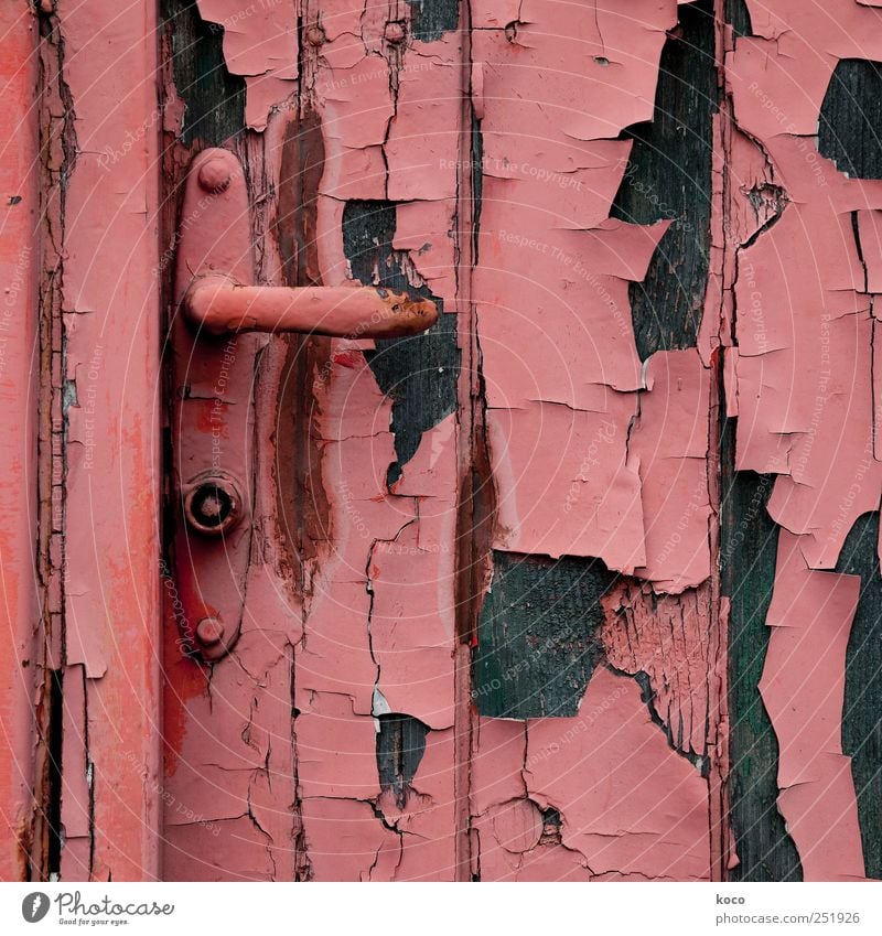 Hintertür Hütte Ruine Gebäude Tür Türschloss Holz Metall Rost alt kaputt trashig braun rot schwarz Vergangenheit Vergänglichkeit Zerstörung Farbe Farbfoto