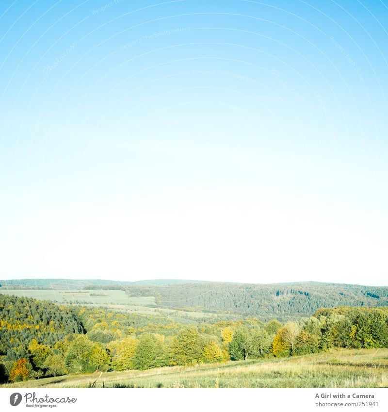 so schön ist die Rhön! Umwelt Natur Landschaft Pflanze Himmel Wolkenloser Himmel Sonnenlicht Herbst Wetter Schönes Wetter Baum Sträucher Blatt Indian Summer