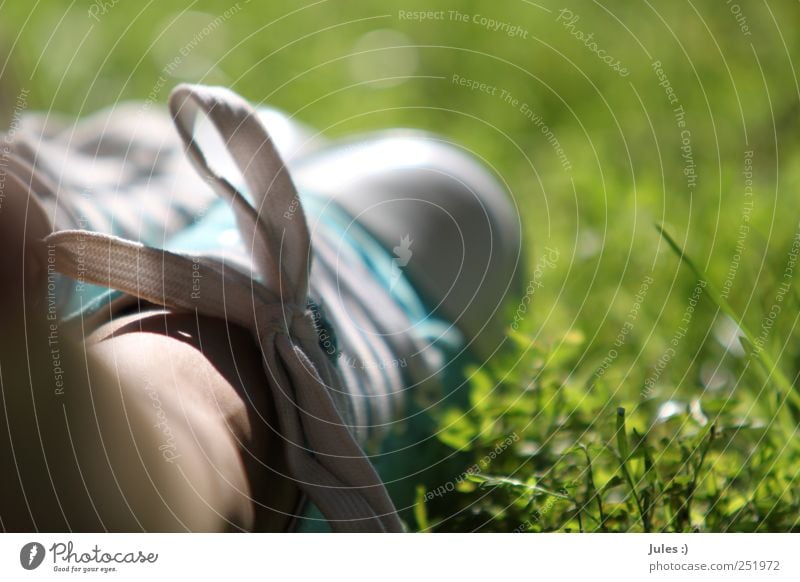 sommerfüßler Glück harmonisch Wohlgefühl Zufriedenheit Freizeit & Hobby Sommer Sonne Garten Kindheit Beine Fuß 1 Mensch Natur Pflanze Erde Sonnenlicht