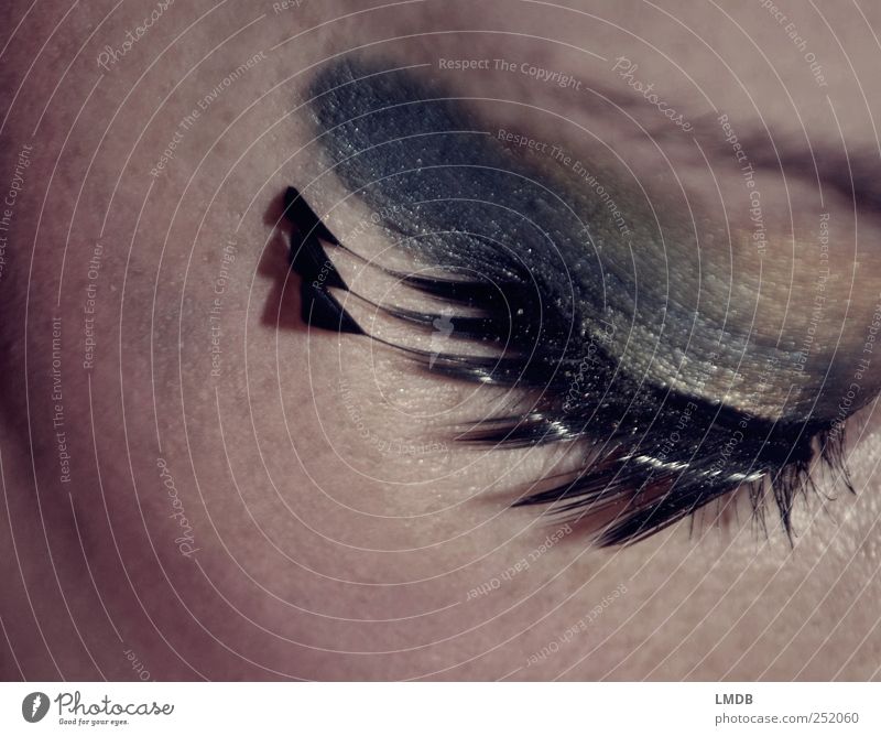 Pfauen-Auge (2) schön Gesicht Kosmetik Schminke Wimperntusche Mensch feminin 1 schwarz Lidschatten Feder Schüchternheit ruhig Karneval Beautyfotografie Farbfoto