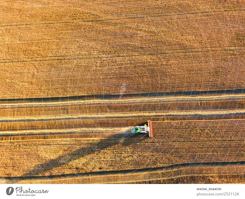 Erntemaschine, die im Feld arbeitet. Kombinierte Maschine Sommer Arbeit & Erwerbstätigkeit Industrie Business Natur Landschaft Pflanze Erde Sand Sonnenaufgang