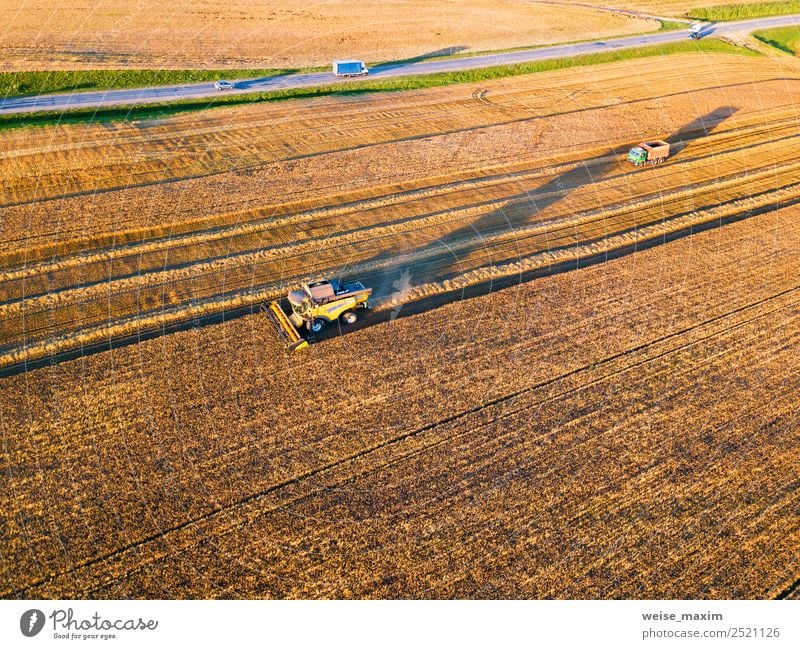 Erntemaschine für den Feldeinsatz Ferne Sommer Arbeit & Erwerbstätigkeit Industrie Business Maschine Natur Landschaft Pflanze Sonnenaufgang Sonnenuntergang