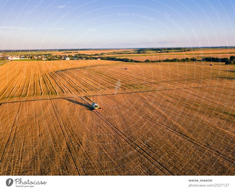 Mähdrescher Maschinenernte Landwirtschaft Goldenes Reife Weizenfeld Sommer Arbeit & Erwerbstätigkeit Industrie Business Natur Landschaft Pflanze Sand Luft