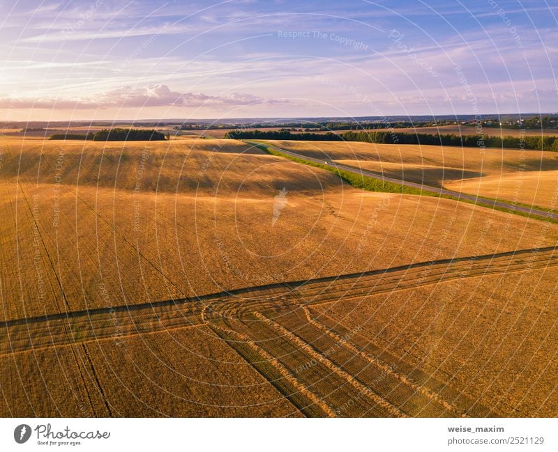 Sommer August Feld zur Erntezeit bei Sonnenuntergang Sonnenlicht Tourismus Ferne Arbeit & Erwerbstätigkeit Industrie Business Maschine Natur Landschaft Pflanze