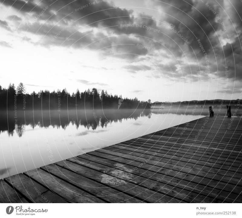 Moorsee Umwelt Natur Landschaft Wasser Himmel Wolken Sonnenaufgang Sonnenuntergang Sommer Wald Seeufer Sumpf Ferien & Urlaub & Reisen Schwimmen & Baden Ferne