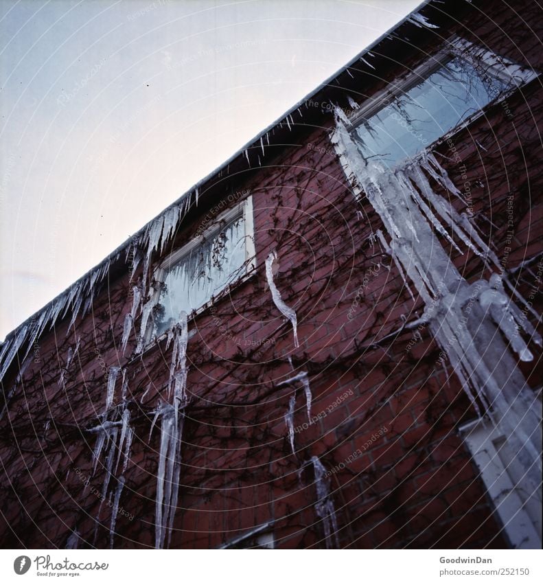 München. Umwelt Natur Winter Wetter Schönes Wetter Eiszapfen Stadtrand Menschenleer Haus Bauwerk Gebäude Architektur Mauer Wand Fassade authentisch kalt